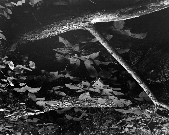 minerva_deak_f_c15_534-004