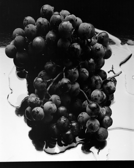 minerva_deak_f_c15_544-001