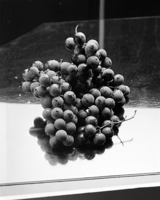 minerva_deak_f_c15_546-001