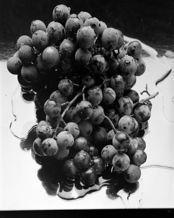 minerva_deak_f_c15_547-001