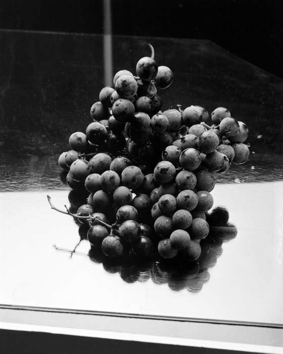 minerva_deak_f_c15_548-001