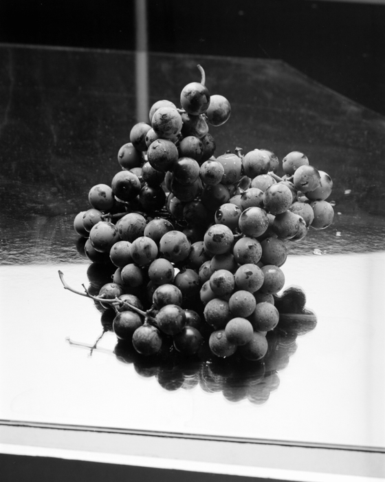 minerva_deak_f_c15_550-001