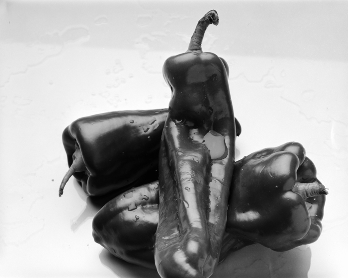 minerva_deak_f_c15_552-002