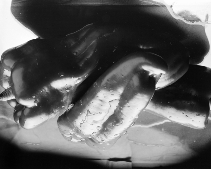 minerva_deak_f_c15_554-001