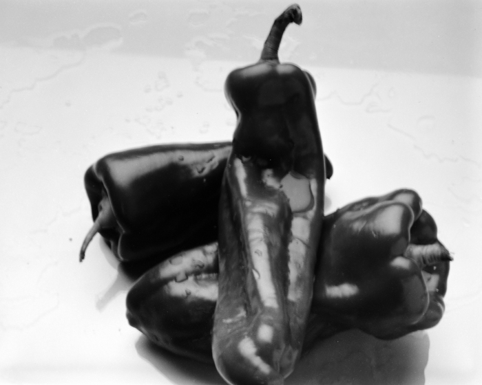 minerva_deak_f_c15_556-001