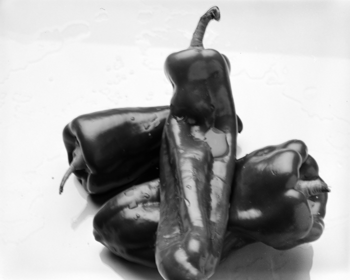 minerva_deak_f_c15_556-002