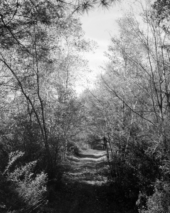 minerva_deak_f_c15_560-001