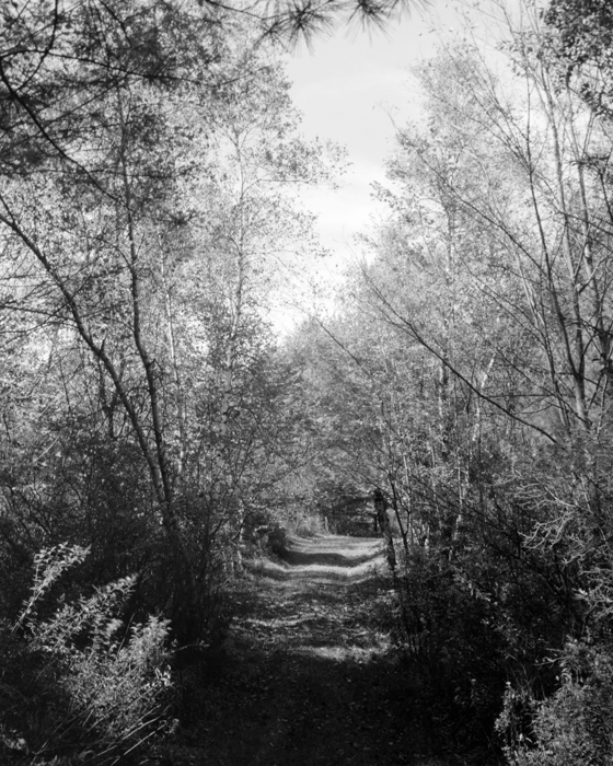 minerva_deak_f_c15_560-002