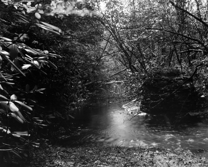 minerva_deak_f_c15_561-002