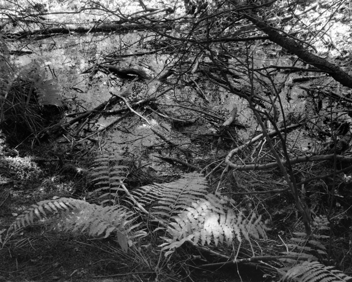 minerva_deak_f_c15_562-002