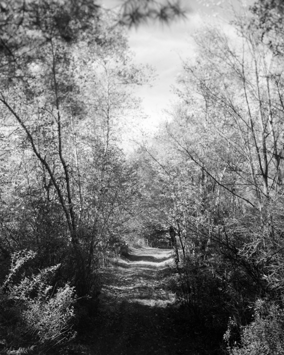 minerva_deak_f_c15_563-001