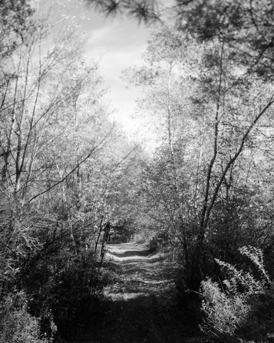 minerva_deak_f_c15_563-002