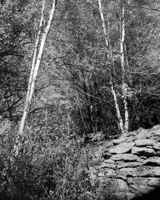 minerva_deak_f_c15_564-001