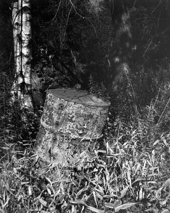 minerva_deak_f_c15_565-002