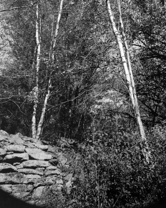 minerva_deak_f_c15_566-001