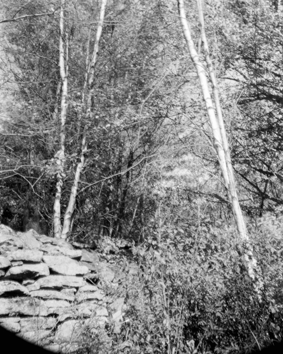 minerva_deak_f_c15_566-002