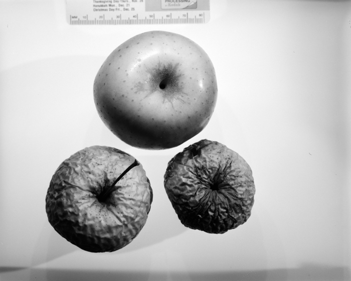 minerva_deak_f_c16_605-002