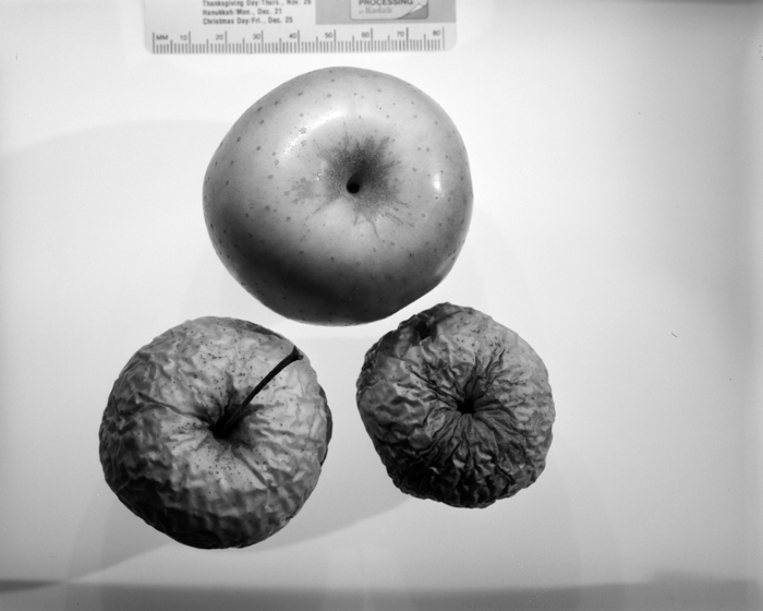 minerva_deak_f_c16_605-003