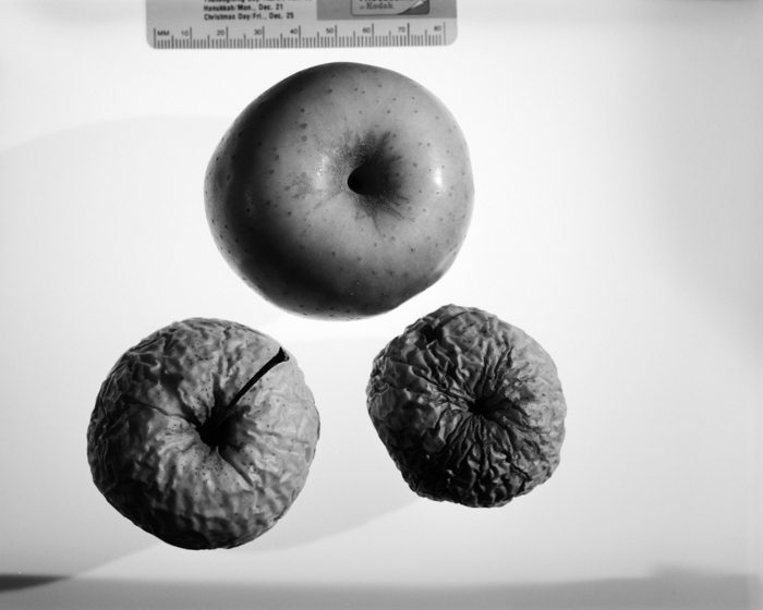 minerva_deak_f_c16_605-004