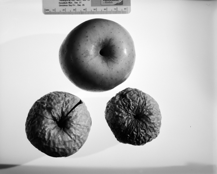 minerva_deak_f_c16_605-005