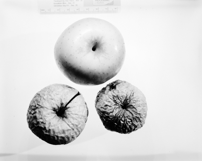 minerva_deak_f_c16_605-006