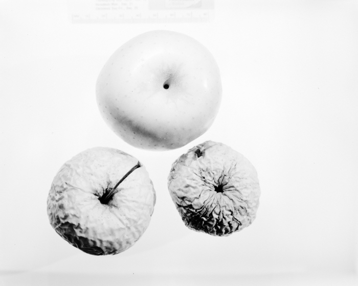 minerva_deak_f_c16_605-007