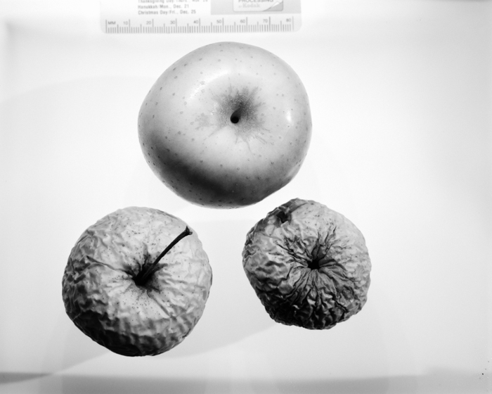 minerva_deak_f_c16_605-008