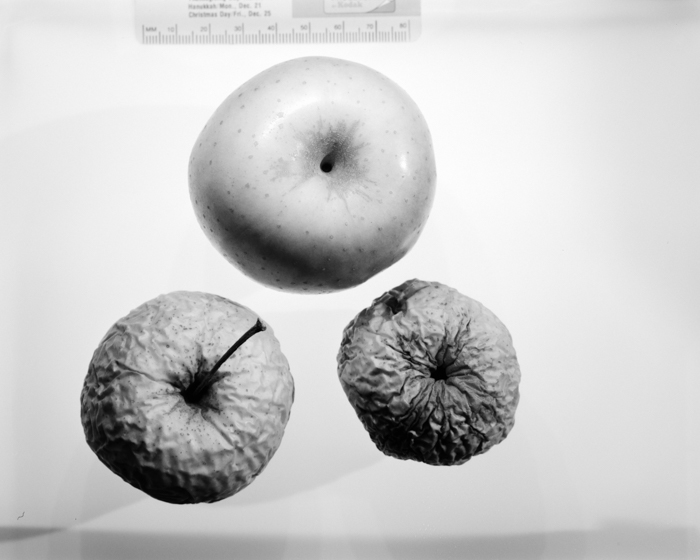 minerva_deak_f_c16_605-009