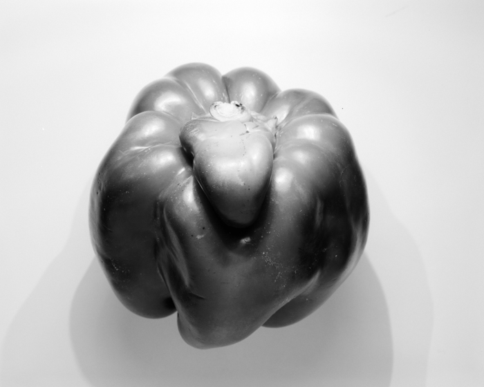 minerva_deak_f_c16_606-012