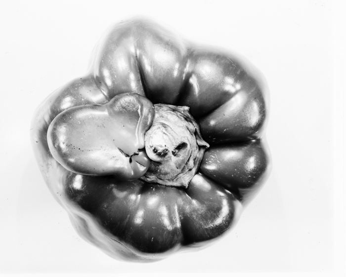 minerva_deak_f_c16_607-013