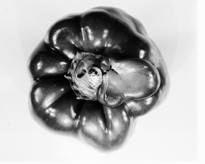 minerva_deak_f_c16_607-014