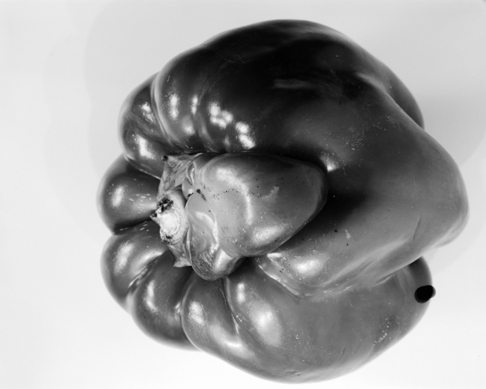 minerva_deak_f_c16_608-015