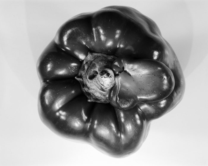 minerva_deak_f_c16_608-016