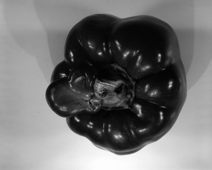 minerva_deak_f_c16_609-019