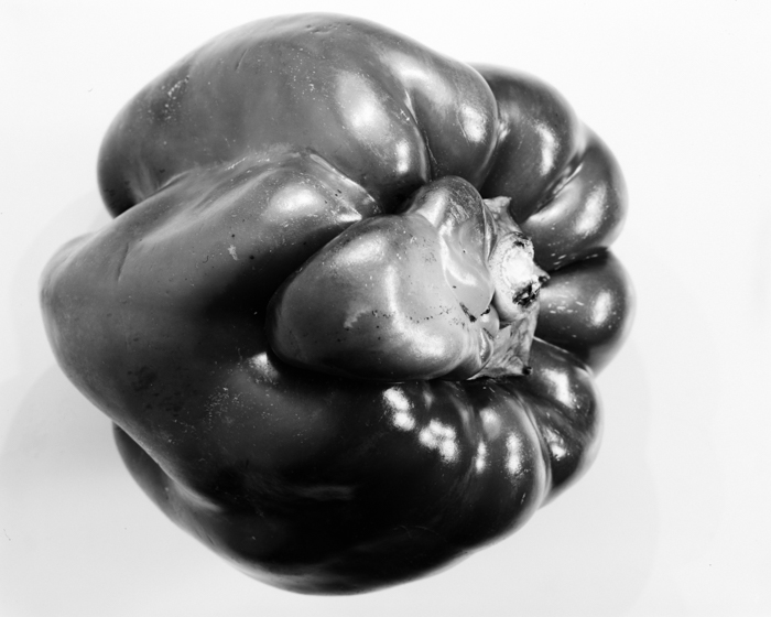 minerva_deak_f_c16_609-020