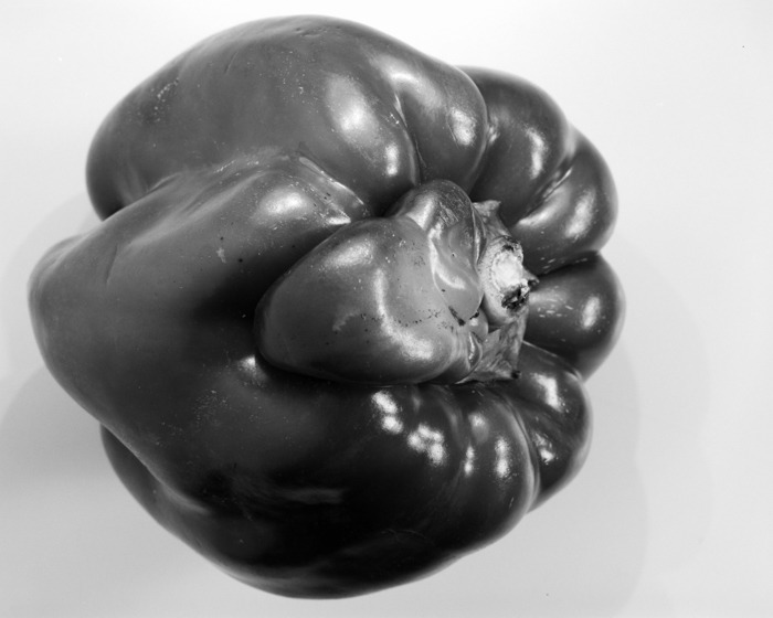 minerva_deak_f_c16_609-022