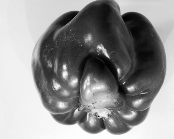 minerva_deak_f_c16_610-002