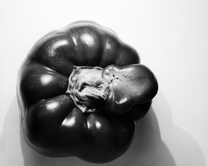 minerva_deak_f_c16_610-003