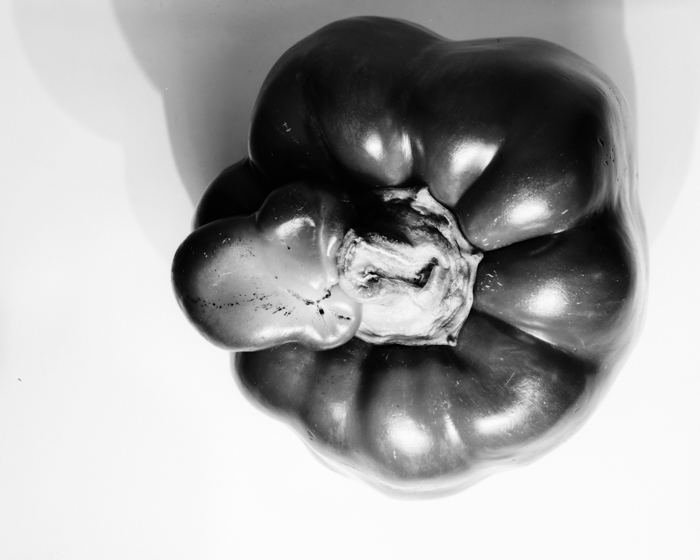 minerva_deak_f_c16_610-004