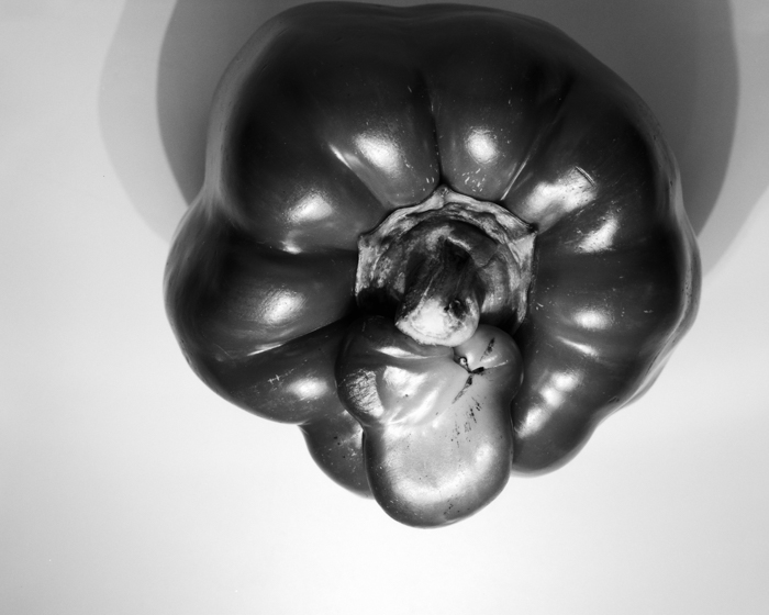 minerva_deak_f_c16_610-006