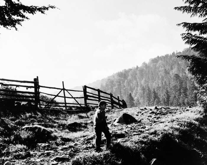 minerva_deak_f_c16_611-001