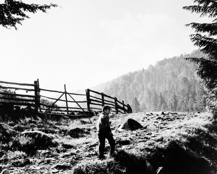 minerva_deak_f_c16_611-002