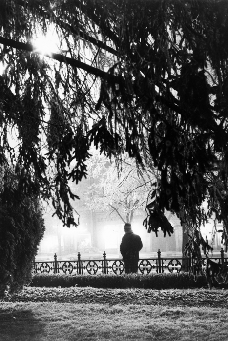 minerva_deak_f_c16_617-002