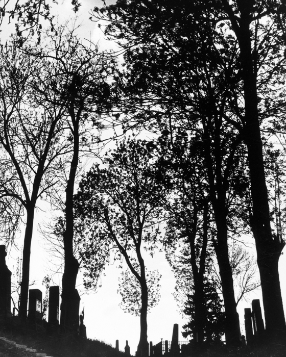 minerva_deak_f_c16_632-001