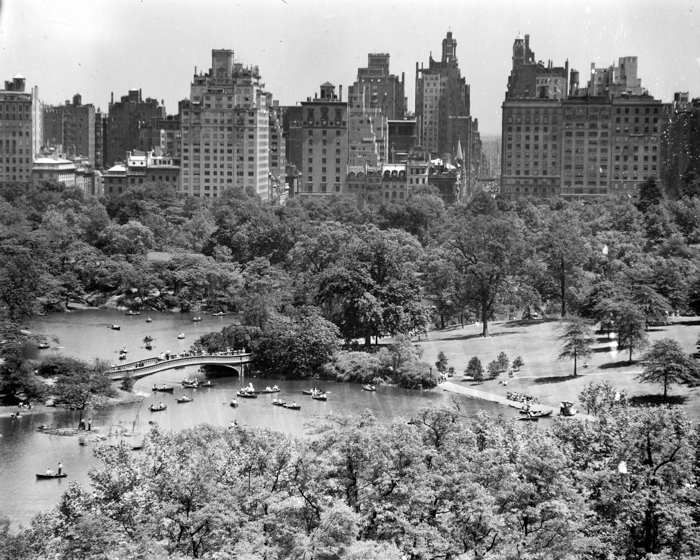 minerva_deak_f_c18-005