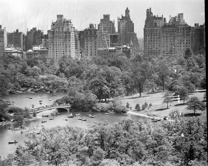 minerva_deak_f_c18-006