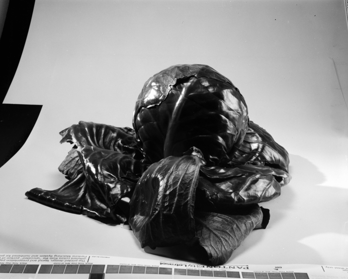 minerva_deak_f_c18-011