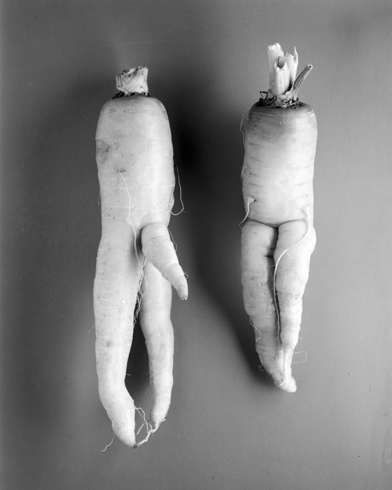 minerva_deak_f_c18-013