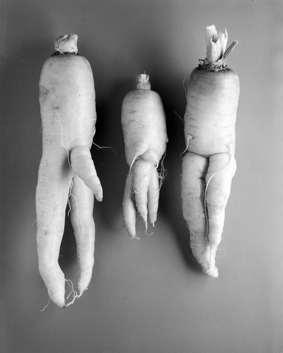 minerva_deak_f_c18-015