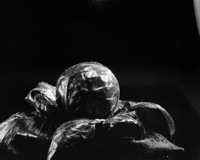 minerva_deak_f_c18-019